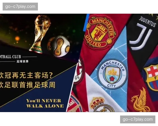 欧足联宣布就欧冠决赛门票违规销售对某票务平台展开调查